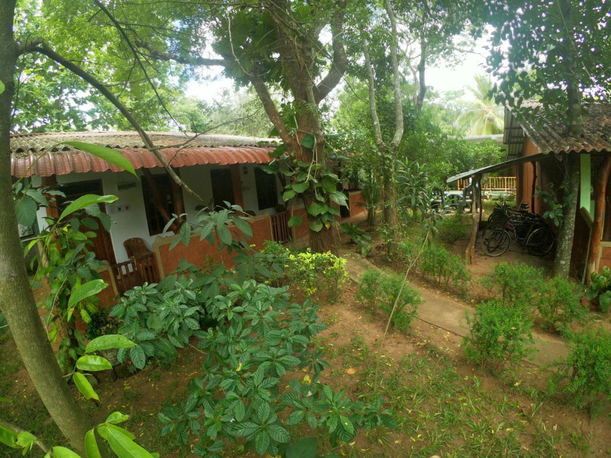 New Sisira Natural Lodge Sigiriya Exteriör bild